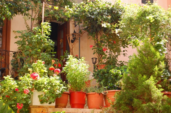 Balcony garden