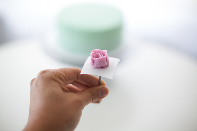 piping pink buttercream rose petals