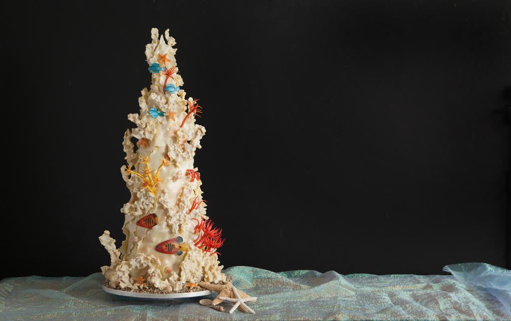 Complete under the sea cake with white chocolate