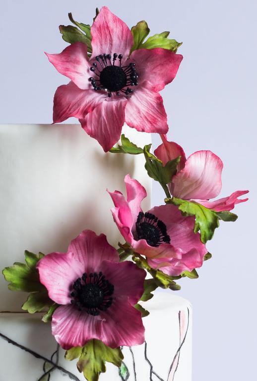 Anemone cake by ModernLovers