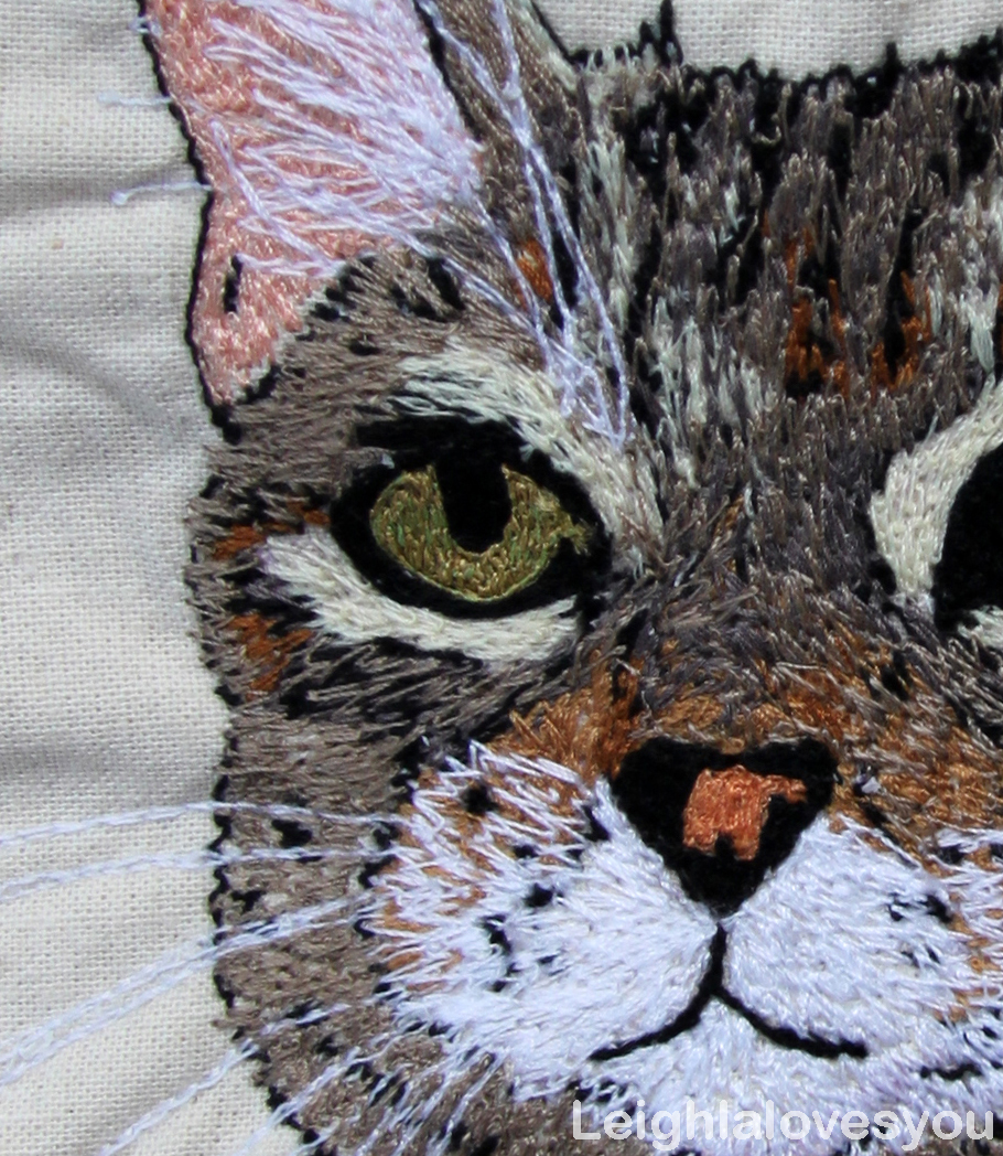 close up detail of embroidered tabby cat face