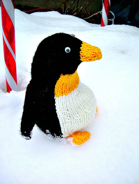 Knitted Toy Penguin