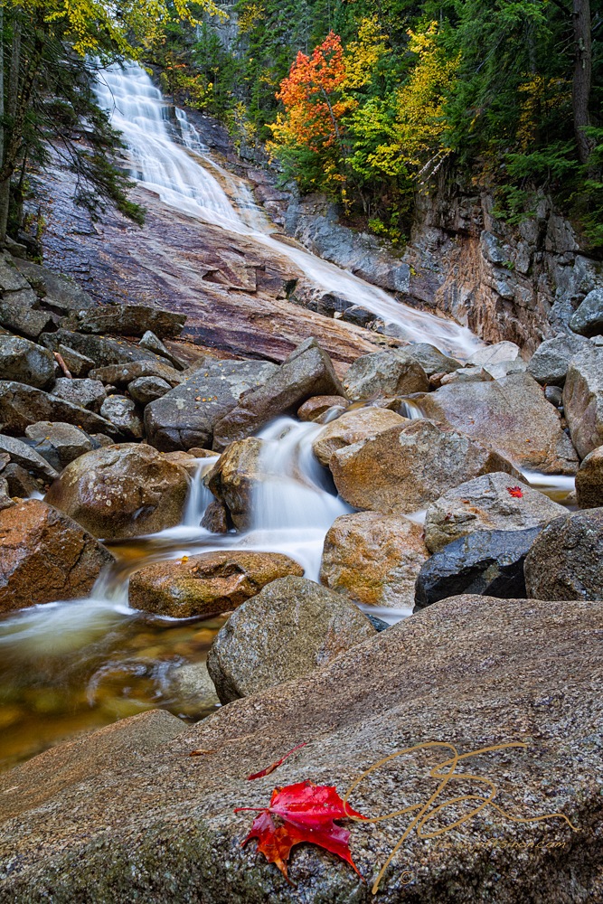 waterfall in the woods during a rain shower