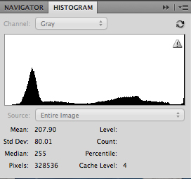 Portrait on white background histogram