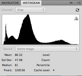 Histogram for black and white photograph