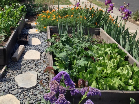 Flowers are mixed in this edible garden plan.