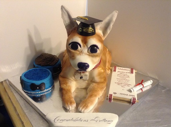 Chihuahua Graduation Cake