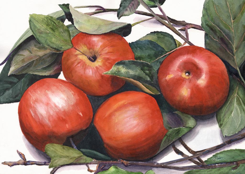 Apples from the Orchard #SeeingRed Watercolor