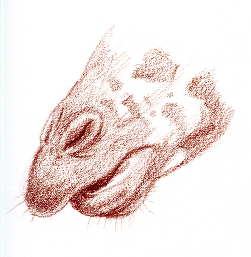 Drawing of a giraffe's mouth