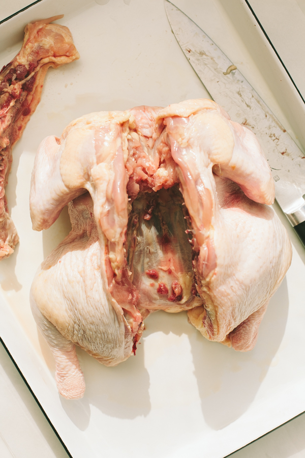 Butchering a chicken: removing the spine