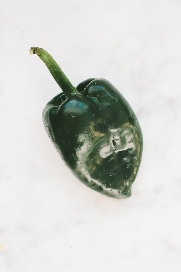 Fresh poblano pepper
