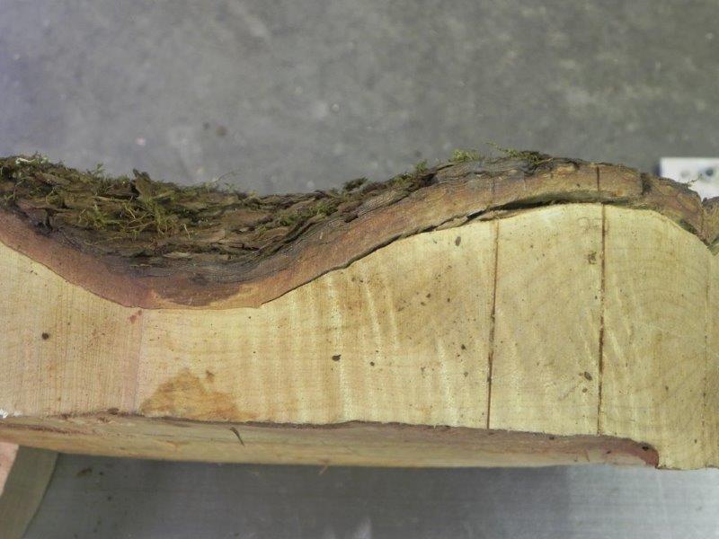 Loose Bark on Woodturning Blank