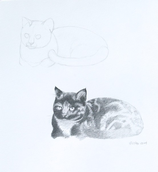 Drawing of a tabby cat, including initial sketch 