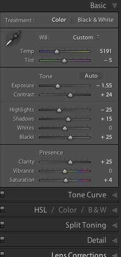 Basic Panel in the Develop Module