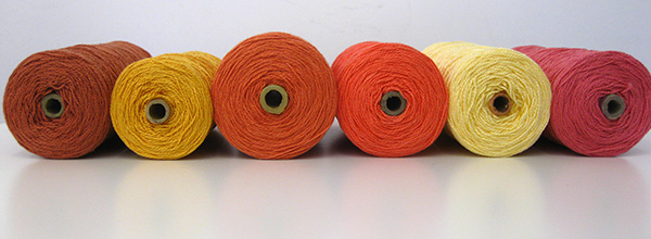 Pink and gold yarns arranged for warp