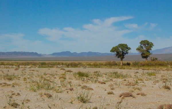 photo of the Gobi Desert horizon