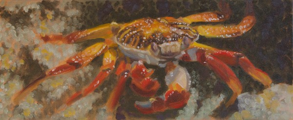 Color study for the crab painting, about 6x14"