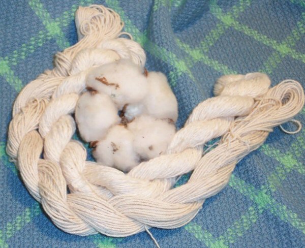 Cotton boll and skeins