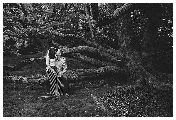couple kissing in tree
