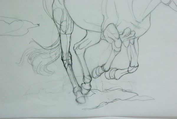 Sketch of Horses Leg