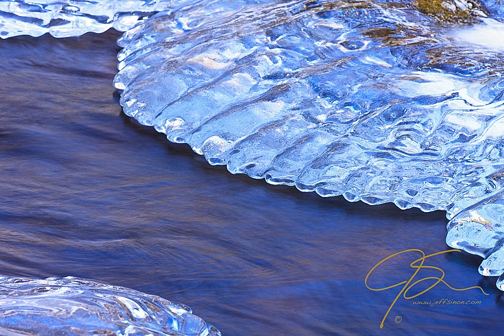 Ice forming along the banks of a stream