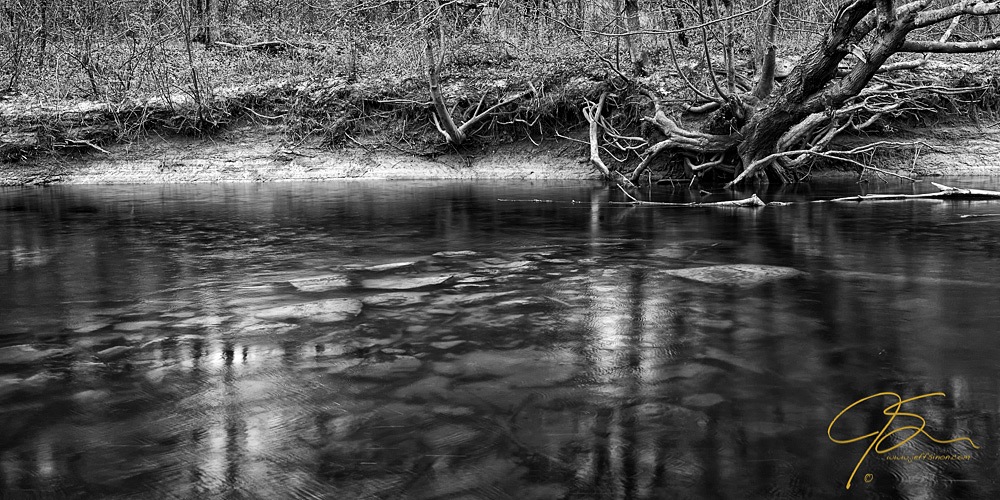 Haunting black and white image of a riverbank