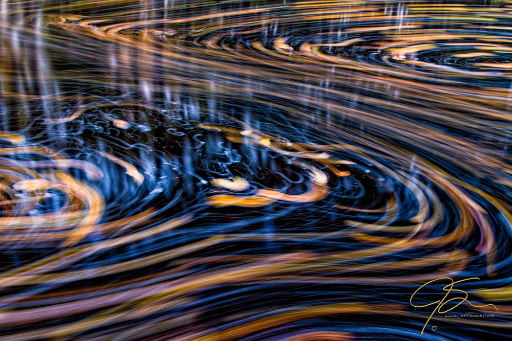 Fallen Leaves on a Stream Captured Using Long Exposure