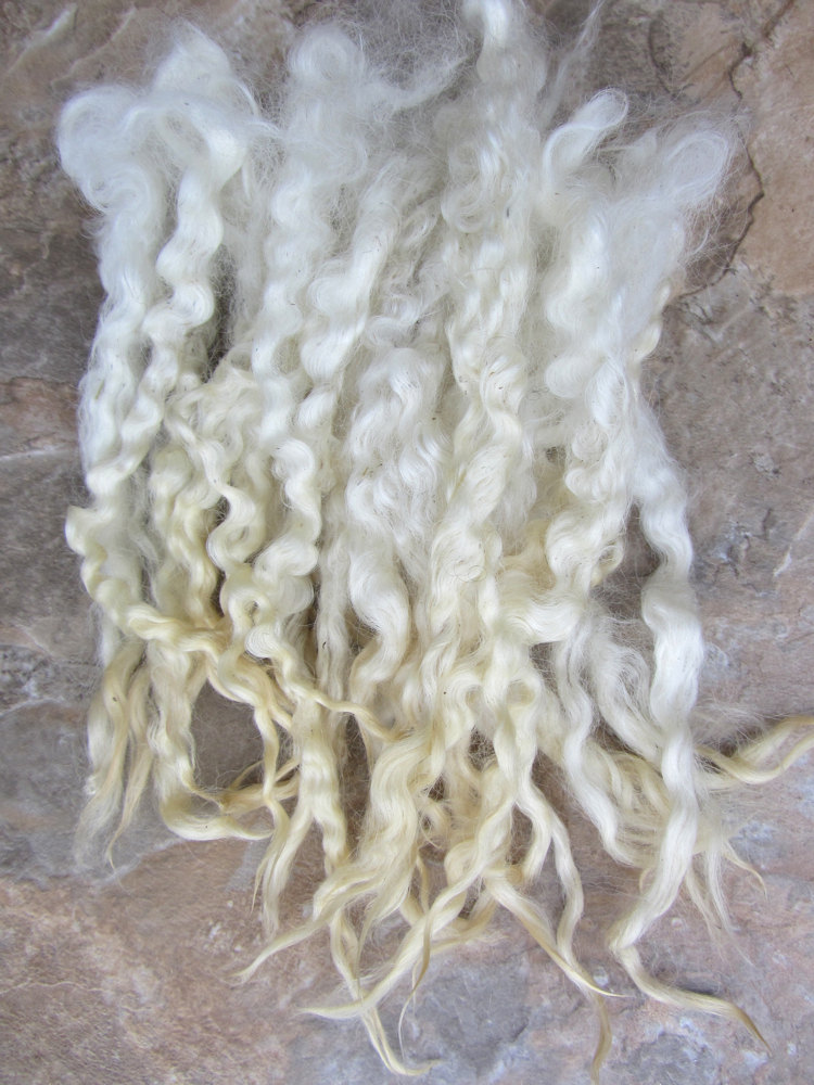 Leicester Longwool