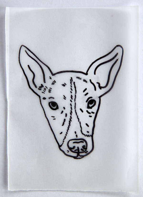 black outline drawing of dog on paper