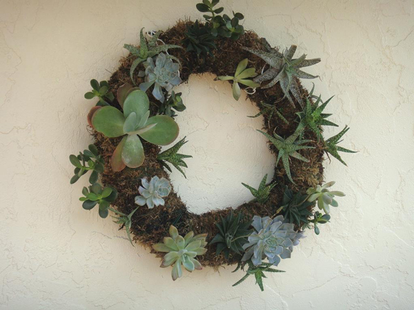 Succulent Wreath