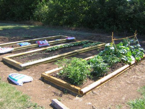 Several raised beds are ideal for crop rotation