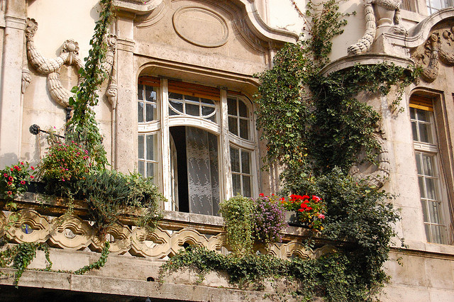 Balcony Garden in Budapest