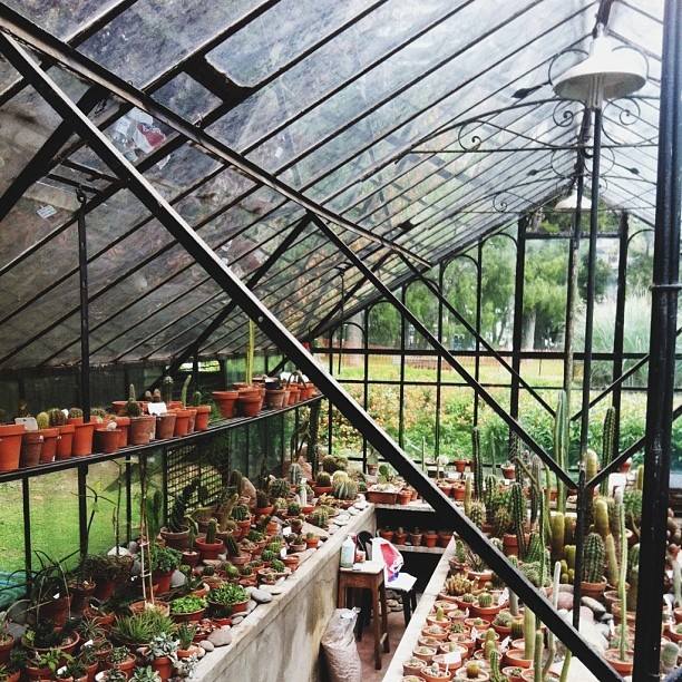 Cactus Greenhouse in Buenos Aires