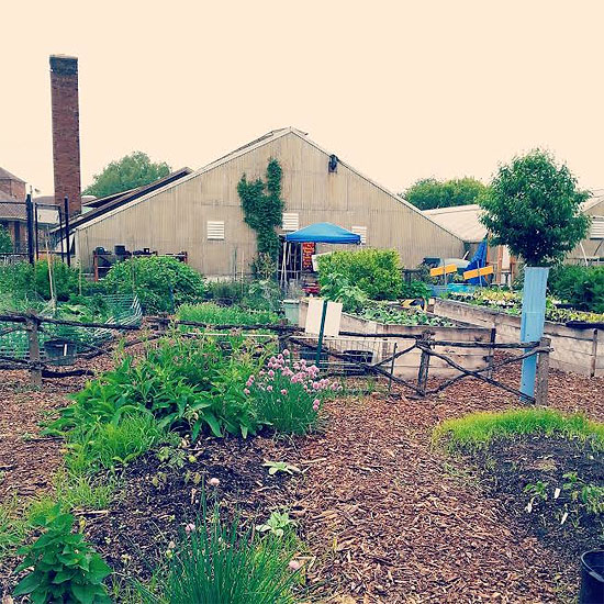 community garden greenhouse