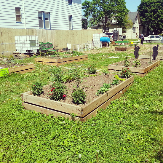 community garden rainwater 