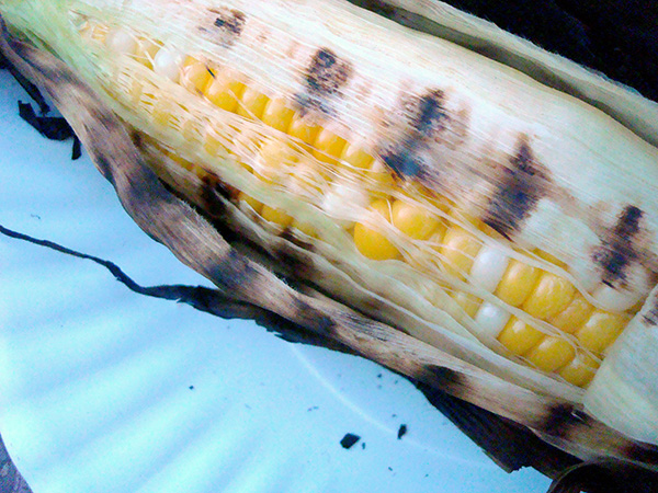 Peel back the husk to see if the corn is done