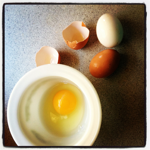 egg yolk in a bowl and broken egg shells