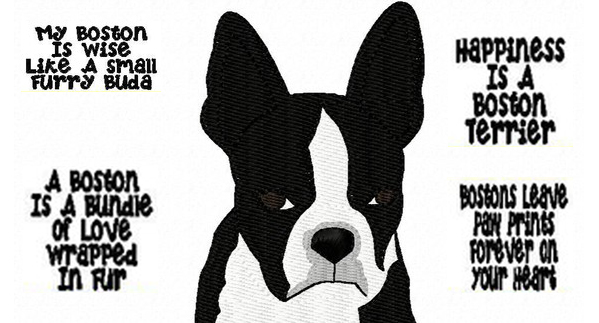 Boston Terrier by Izabellas Designs