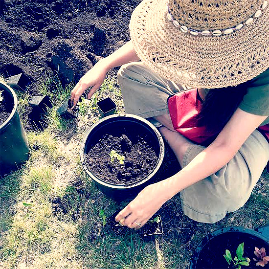 A gardener planting seeds