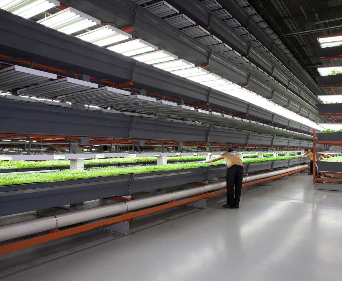Vertical Farm