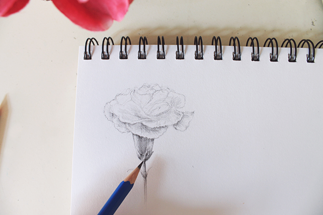 Drawing flowers finishing step