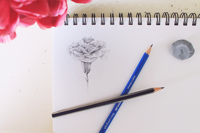 finished carnation drawing