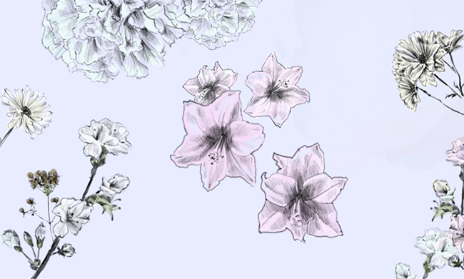 Beautiful hand-drawn flower wallpaper 