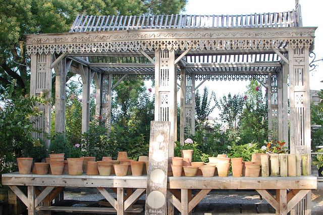 Collection of Terracotta Planters