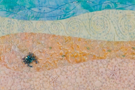 Beach landscape with beaded crab