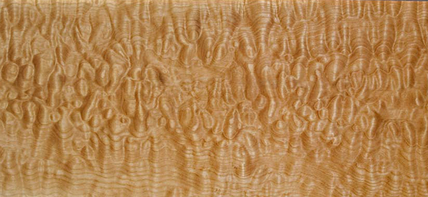 quilted bigleaf maple