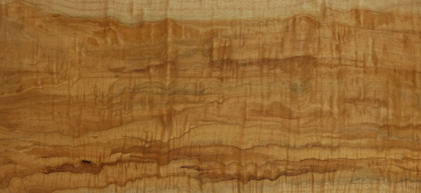 bigleaf maple heartwood