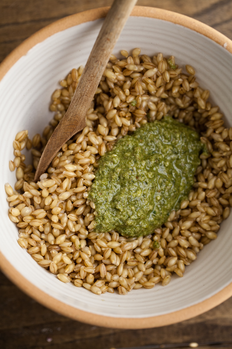Cooked barley with pesto