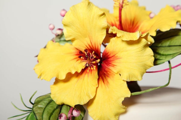 Hibiscus Exotic Sugar Flower on Craftsy!