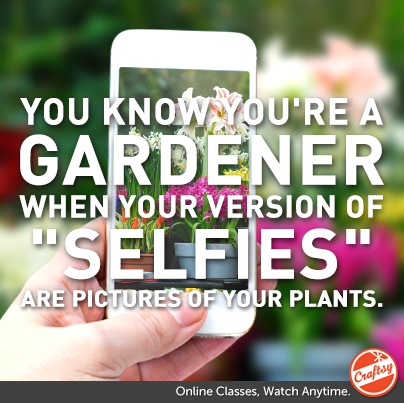 You know you're a gardener when you version of "selfies" are pictures of your plants